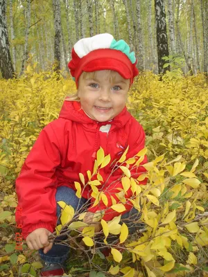 Да здравствует осень🌾🍁🏵🍂🍁 Приглашаем детей на мастер-класс \"Веселая  осень\" по изготовлению поделок из листьев. Время: суббота 3 октября… |  Instagram