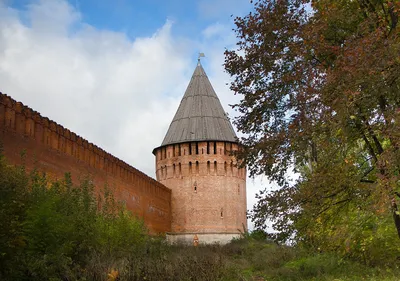 Палитра шаров Веселуха (159) - купить по оптовым ценам