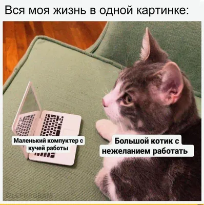 Я люблю свою работу, булавка, работа, карьера, юмор, значок, работа, веселая  шутка, брошь | AliExpress