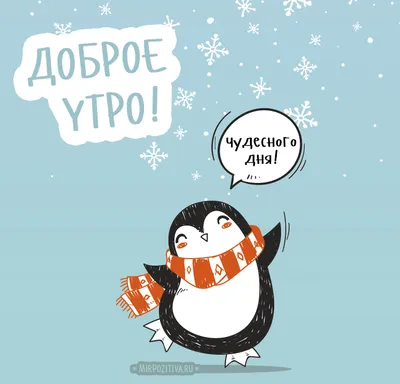 Прикольные картинки \"Доброе утро\" 👍 😄 (285 шт.) | Доброе утро, Смешные  открытки, Веселые мысли