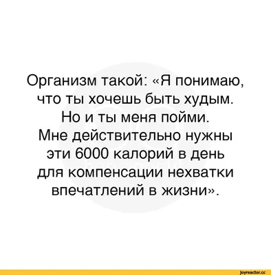 Смешные и мудрые цитаты от знаменитостей. | Записки о Бессознательном | Дзен