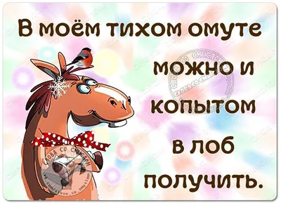 Венгерка отказывается взрослеть и рисует комиксы о том, как ей после 30  классно и весело жить с котом и без мужа | Мир комиксов | Дзен