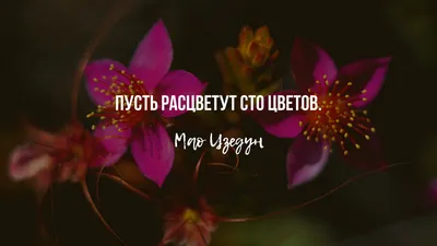 Фон рабочего стола где видно букет, тюльпаны, весенние цветы, красивые обои  на рабочий стол, Bouquet, tulips, spring flowers, beautiful wallpapers