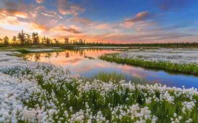 Весенний пейзаж с дубом и лодками