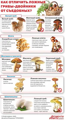 Лучшие идеи (150) доски «Дикие грибы» | дикие грибы, грибы, дикие