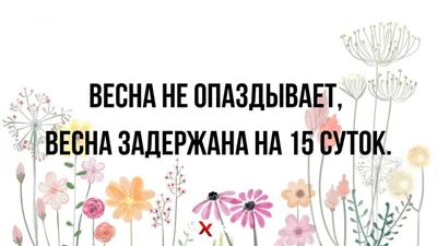 весна юмор / смешные картинки и другие приколы: комиксы, гиф анимация,  видео, лучший интеллектуальный юмор.