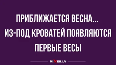 Пора Подумать Во Что Раздеться... | Юмор, Весна, Позитив