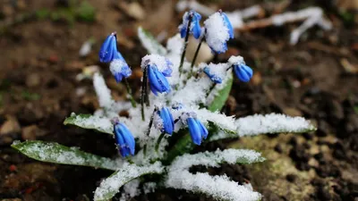 ВЕСНА! 🌱Рассказ про ВЕСНУ для детей. Русская весна. Развивающее видео для  детей - YouTube