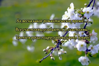 Роман Вильфанд рассказал, когда в Центральной России наступит весна