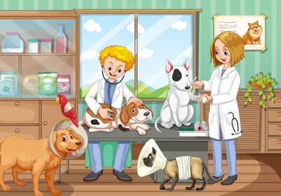 Ветеринар-невролог в Москве, цена услуги на сайте ветклиники «Центр»