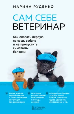 Ветеринарный Офтальмолог | Ветклиника Василёк 24 часа