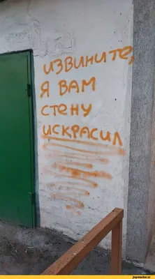 Доброжелательность, компетентность, вежливость | Новосибирский юридический  институт