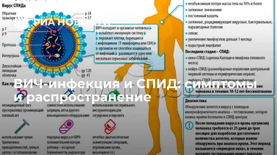 Какая разница между ВИЧ-инфекцией и СПИДом? | ВКонтакте