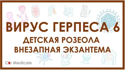 Живёт в нервной системе: почему вирус герпеса опаснее, чем кажется