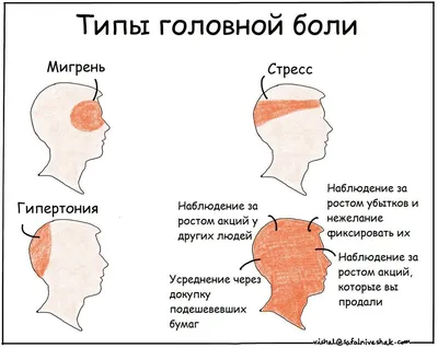 Головная боль: когда пора к врачу? | Блог | Аско-Мед в Новосибирске и  Барнауле