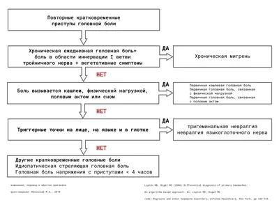 Головная боль — виды, причины, симптомы и лечение | Блог | Complimed