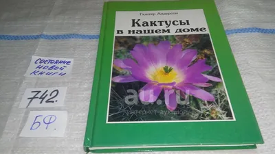 Cumpărați Кактус смесь разных видов и форм 0.2 г la 15 MDL de la producător