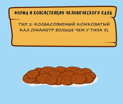 7 видов фекалий: зачем ученые из Бристоля создали шкалу стула | LabHub |  Дзен