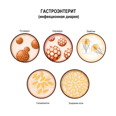 Нормальный стул - какой он? Норма цвета и формы кала у взрослого