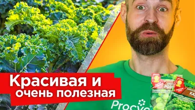 Какие существуют виды капусты? - Грядка