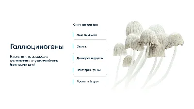 Комбинированный тест на 10 видов наркотиков (ID#1389854511), цена: 205 ₴,  купить на Prom.ua