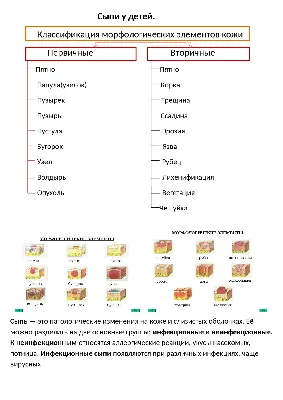 Папулезные высыпания на коже, классификация папул