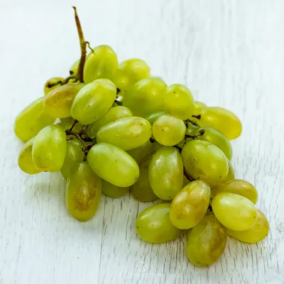 Цветной виноград и другие экзотические сорта винограда, которые стоит  увидеть, а некоторые даже попробовать | Рассказы зайца Корли | Дзен