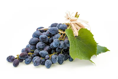 Неббиоло: виноград Бароло и не только - Блог Vintage-M