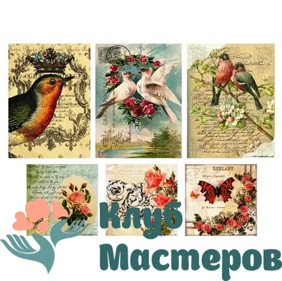 Промо декупажная бумага А4 60 г/м \"Винтажные свинки\". Интернет магазин  товаров для творчества. Быстрая доставка по всей России. Рисовая карта для  декупажа, переводная декупажная карта