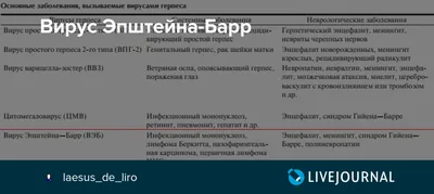 Выявление ДНК вируса Эпштейна-Барр (EBV) – количественно - сдать анализ в  Санкт-Петербурге в ЛабСтори