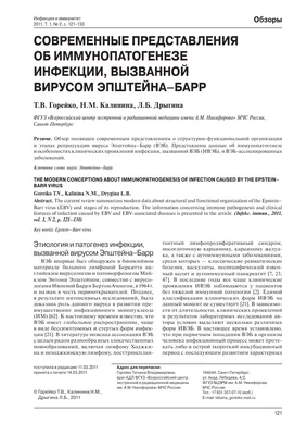 Что такое вирус Эпштейна-Барр и чем он опасен?