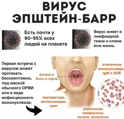 ВИЧ или ВЭБ? История про то как обманули мир. | Юрий Демо | Дзен