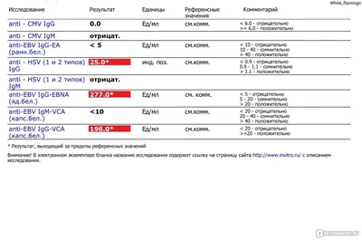 Вирус Эпштейна-Барр | Клиника Эксперт