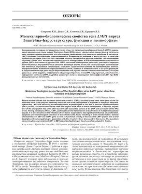 Афтоз Сеттона и Эпштейна Барр-вирусная инфекция – тема научной статьи по  клинической медицине читайте бесплатно текст научно-исследовательской  работы в электронной библиотеке КиберЛенинка