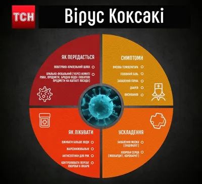 Новый вирус «руки-ноги-рот» — Новости Шымкента