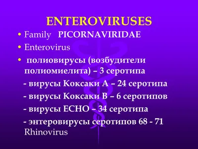 В Кривом Роге уже 14 человек попали в больницу с вирусом Коксаки • Портал  АНТИКОР