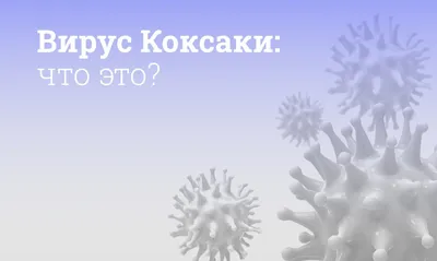 Рекомендации Роспотребнадзора: как не заразиться вирусом Коксаки - Новости  Тулы и области - MySlo.ru