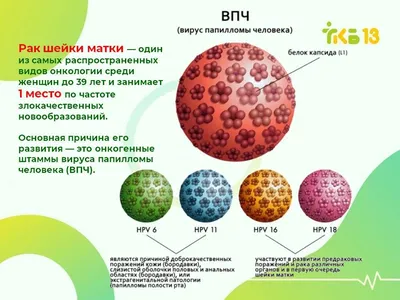 Вирус папилломы человека - что это и как лечить? | Соколова М.О.  акушер-гинеколог Диамед - YouTube