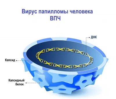 Причины появления папилломы на теле у человека