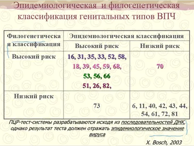 Анализ на ВПЧ - расшифровка, цена на анализ, типы ВПЧ у мужчин и женщин |  Азбука Здоровья