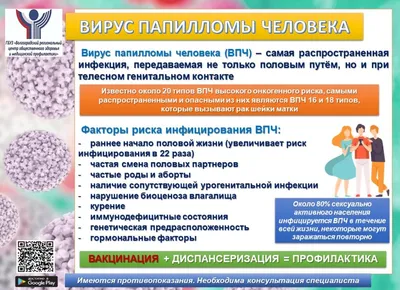 Вирус Папилломы Человека (ВПЧ) 16. ВПЧ Вызывает Кожи И Генитальные  Бородавки И Ряд Раковых Заболеваний, В Том Числе Рака Шейки Матки.  Структура Атомного Уровня. Фотография, картинки, изображения и  сток-фотография без роялти. Image