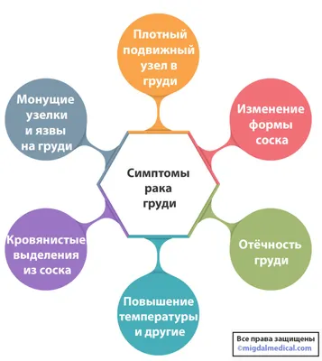 Рак молочной железы. Как лечить? Каков прогноз? Ответ эксперта