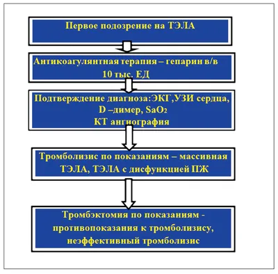 Около половины людей умирают от инфаркта и инсульта. Более широкий взгляд  на причины | Пикабу