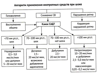 Тромбоэмболия: причины, симптомы, диагностика и лечение болезни