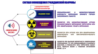 Нашивка на одежду, патч, шеврон на липучке \"Внимание! Спасибо за внимание\"  8,5х5,2 см - купить с доставкой по выгодным ценам в интернет-магазине OZON  (245432128)