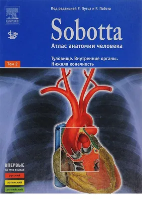 Анатомия человека. Атлас в 3 томах. Том 2. Внутренние органы