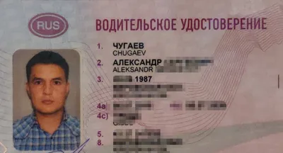 В интернете предлагают поддельные водительские права: что они дают и в чем  смысл? - Delfi RUS