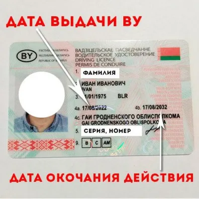 Польские водительские права – как получить иностранцу?