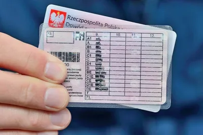 Мигранты получали в Подмосковье водительские права без экзамена -  Российская газета
