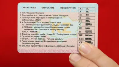 Получение российских водительских прав иностранцу